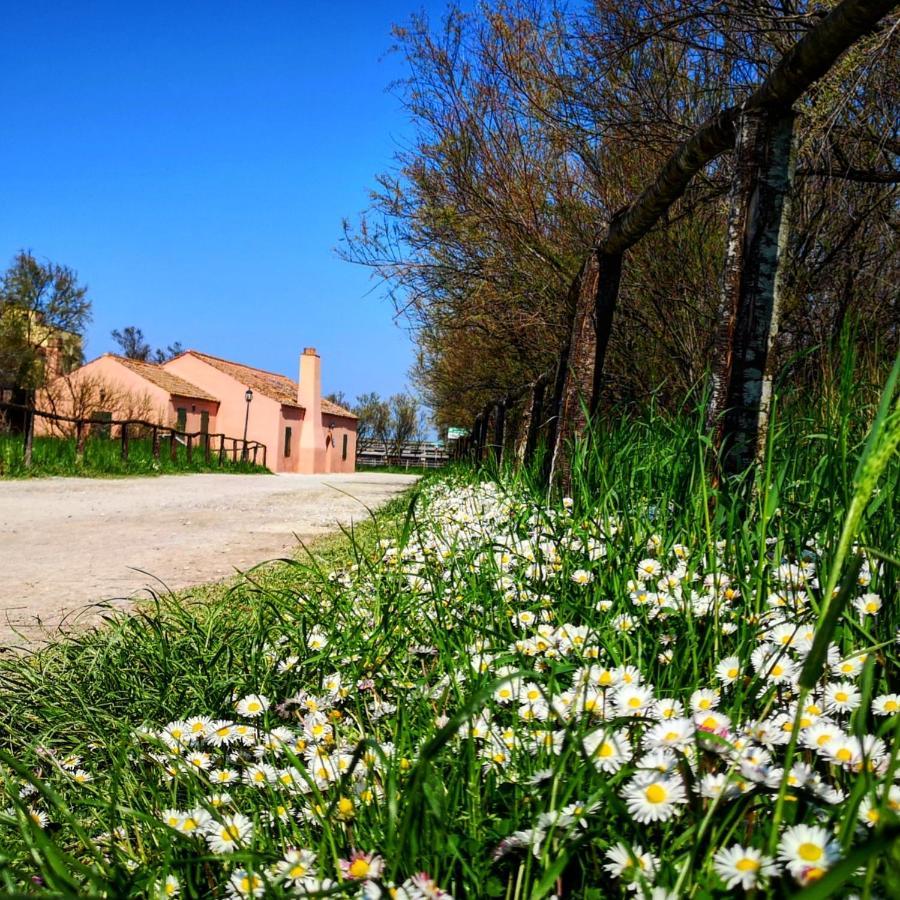 كوماكيو Residenza La Gallinella المظهر الخارجي الصورة